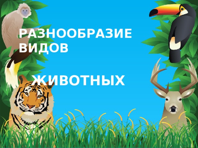 РАЗНООБРАЗИЕ ВИДОВ ЖИВОТНЫХ  