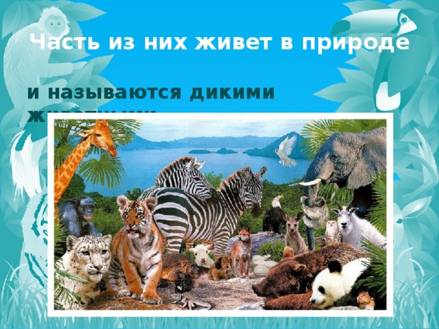 Часть из них живет в природе и называются дикими животными 
