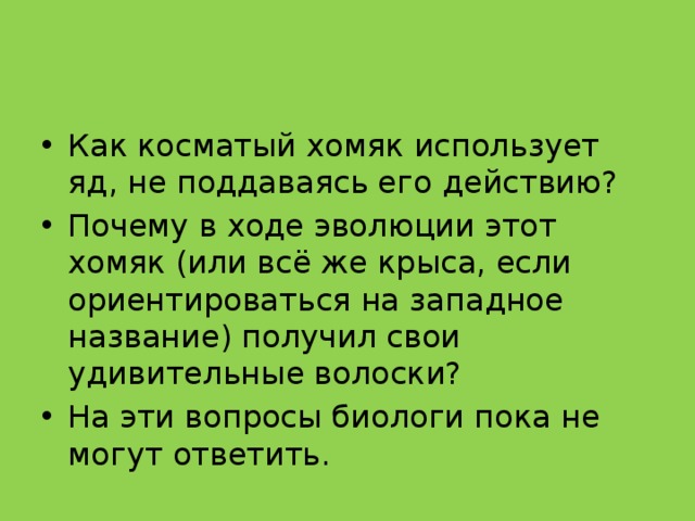 Как косматый хомяк использует яд, не поддаваясь его действию? Почему в ходе эволюции этот хомяк (или всё же крыса, если ориентироваться на западное название) получил свои удивительные волоски? На эти вопросы биологи пока не могут ответить. 
