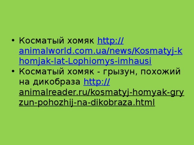 Косматый хомяк http:// animalworld.com.ua/news/Kosmatyj-khomjak-lat-Lophiomys-imhausi Косматый хомяк - грызун, похожий на дикобраза http:// animalreader.ru/kosmatyj-homyak-gryzun-pohozhij-na-dikobraza.html  