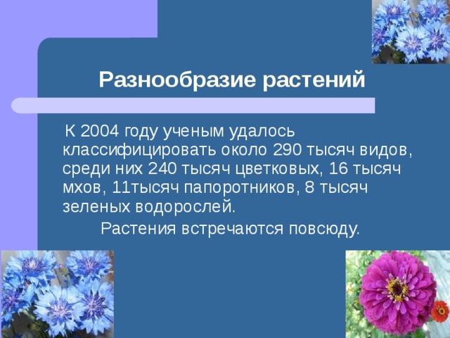 Разнообразие растений  К 2004 году ученым удалось классифицировать около 290 тысяч видов, среди них 240 тысяч цветковых, 16 тысяч мхов, 11тысяч папоротников, 8 тысяч зеленых водорослей. Растения встречаются повсюду. 
