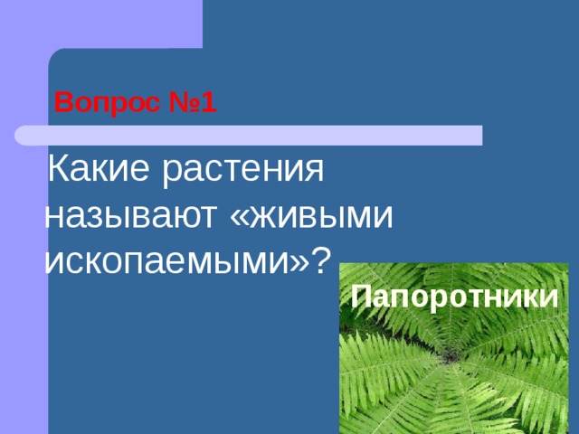 Вопрос №1  Какие растения называют «живыми ископаемыми»? Папоротники 