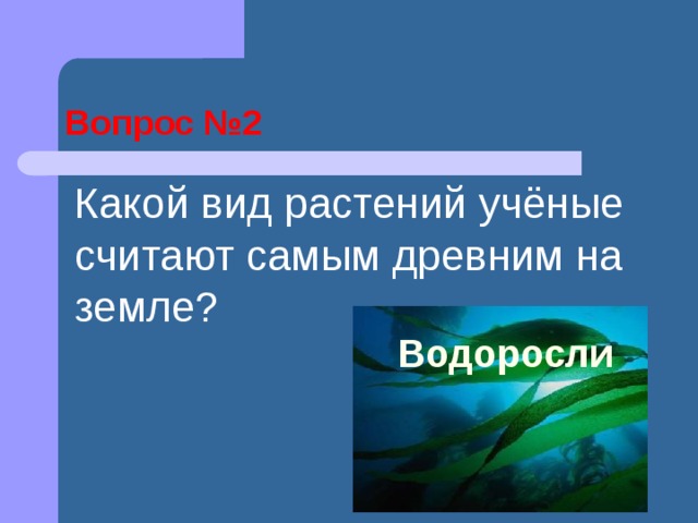 Вопрос №2  Какой вид растений учёные считают самым древним на земле?  Водоросли 