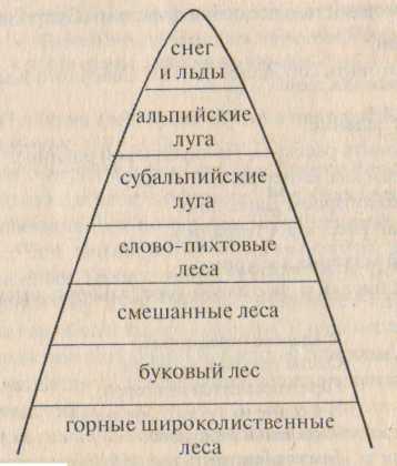 Цепь питания черноморского побережья кавказа. Схема питания Черноморского побережья Кавказа. Схема питания Черноморского побережья Кавказа Южного берега. Схема питания характерная для Кавказа. Схема питания характерная для Черноморского побережья.