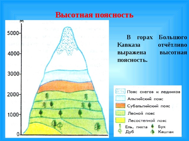 Высотная поясность В горах Большого Кавказа отчётливо выражена высотная поясность. 