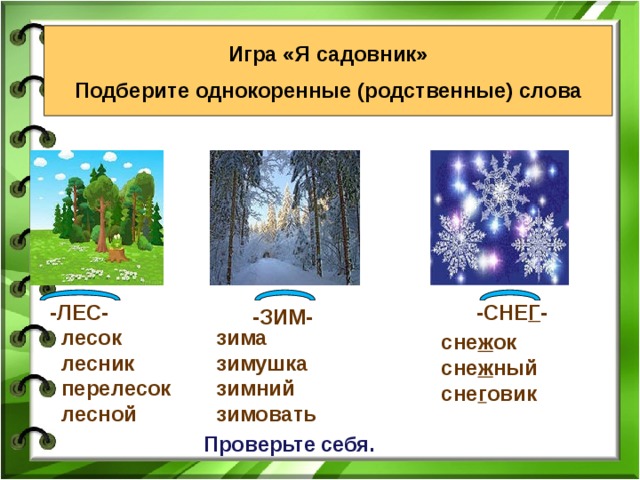 Однокоренные слова с корнем лес