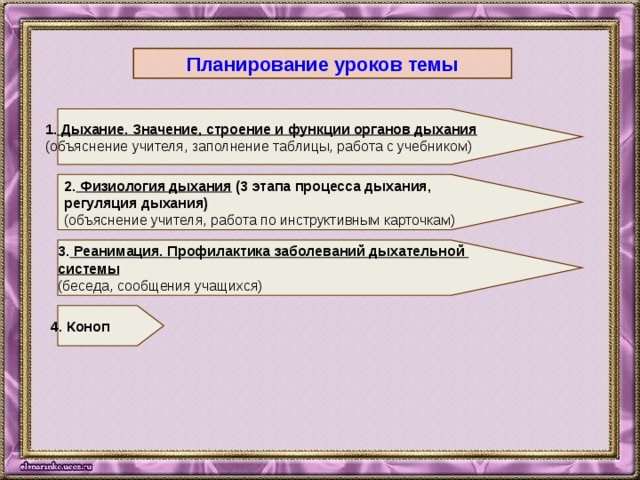 Планирование уроков темы 1. Дыхание. Значение, строение и функции органов дыхания  (объяснение учителя, заполнение таблицы, работа с учебником) 2. Физиология дыхания (3 этапа процесса дыхания, регуляция дыхания)  (объяснение учителя, работа по инструктивным карточкам) 3. Реанимация. Профилактика заболеваний дыхательной системы  (беседа, сообщения учащихся) 4. Коноп