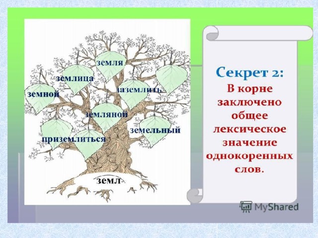 Нарисуйте свое дерево с однокоренными словами дуб