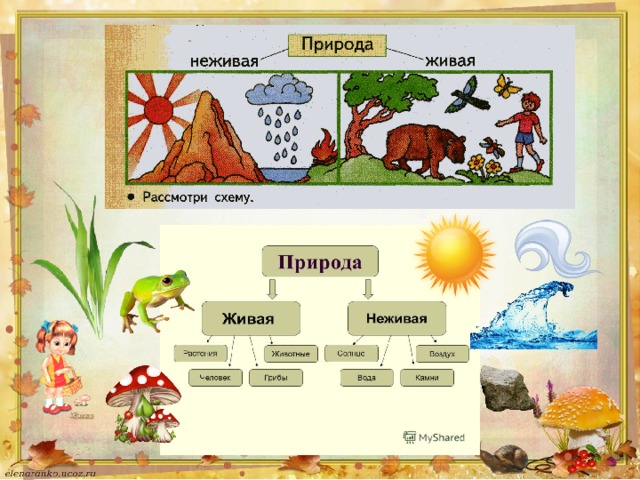 Взаимосвязи между человеком и природой окружающий мир 1 класс школа россии конспект и презентация