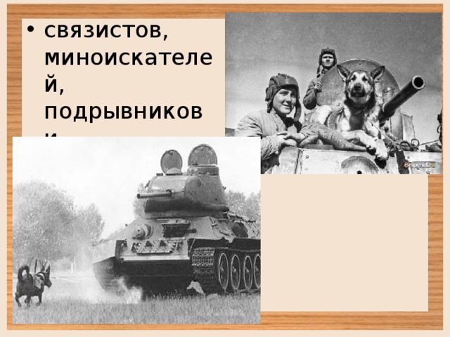 связистов, миноискателей, подрывников и разведчиков. 