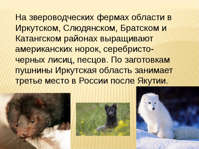На звероводческих фермах области в Иркутском, Слюдянском, Братском и Катангском районах выращивают американских норок, серебристо-черных лисиц, песцов. По заготовкам пушнины Иркутская область занимает третье место в России после Якутии. 