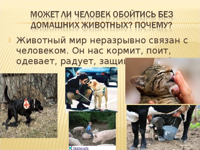 Животный мир неразрывно связан с человеком. Он нас кормит, поит, одевает, радует, защищает, любит. 