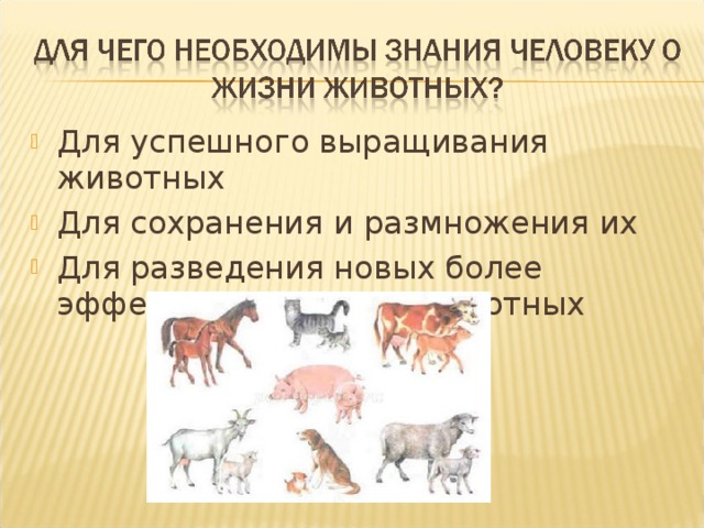 Для успешного выращивания животных Для сохранения и размножения их Для разведения новых более эффективных пород животных 