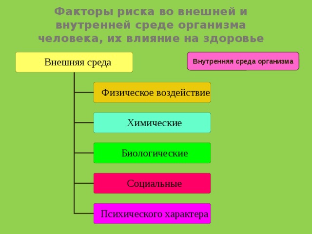 Факторы внешней среды организма