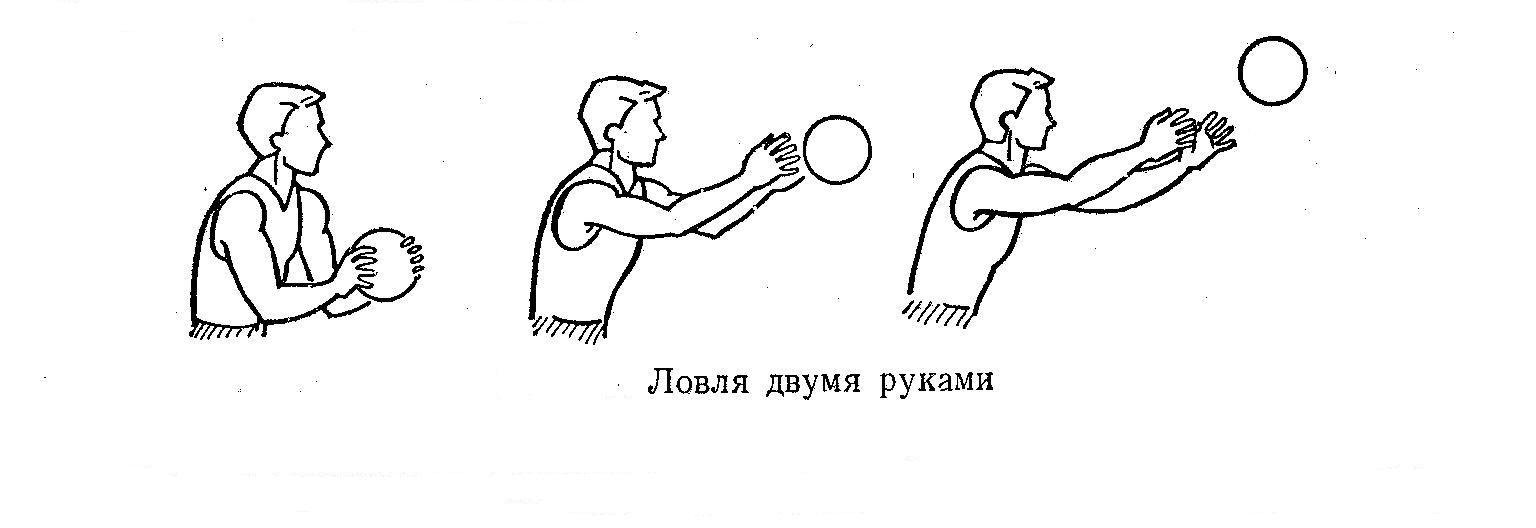 Как подразделяется ловля мяча в баскетболе