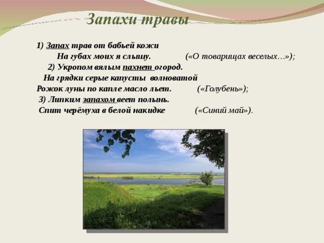 Примеры изображения запахов в стихах есенина