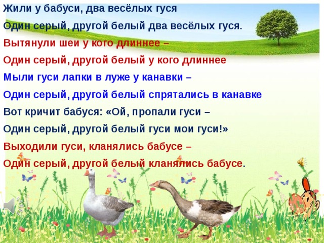 Слова веселых гусей. Гуси жили у бабуси 2 веселых гуся. Два гуся один серый другой белый. Жили у бабцчи 2 весёлых гуся. Жили у бабуси два веселых гуся стих.