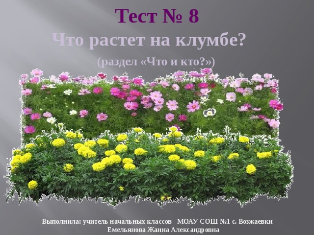 Тест № 8  Что растет на клумбе?  (раздел «Что и кто?») Выполнила: учитель начальных классов МОАУ СОШ №1 с. Возжаевки  Емельянова Жанна Александровна 