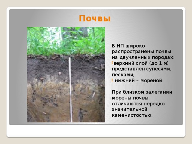 Распространенные почвы. Почвы Кемеровской области. Морена почвоведение. Сведения о почвах Кемеровской области. Основные сведения о почвах Кузбасса.