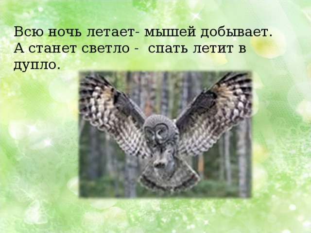 Всю ночь летает- мышей добывает. А станет светло - спать летит в дупло. 