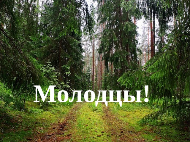 Молодцы! 