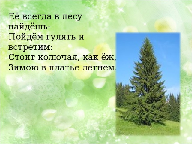 Её всегда в лесу найдёшь- Пойдём гулять и встретим: Стоит колючая, как ёж, Зимою в платье летнем. 