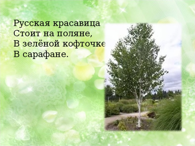 Русская красавица Стоит на поляне, В зелёной кофточке, В сарафане. 