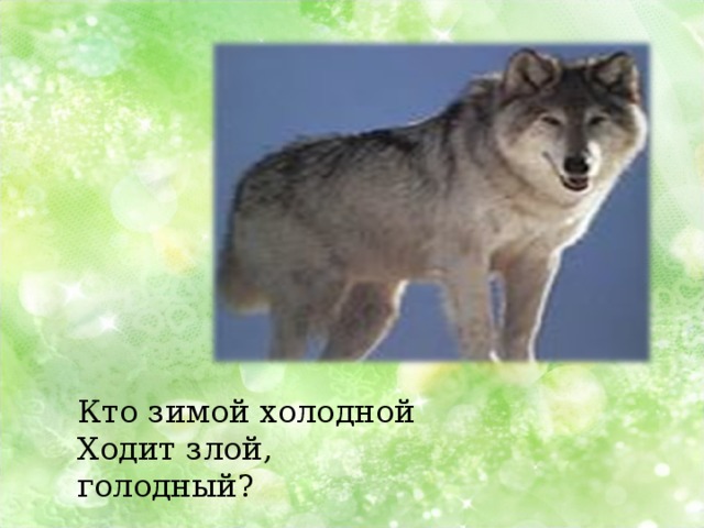 Кто зимой холодной Ходит злой, голодный? 