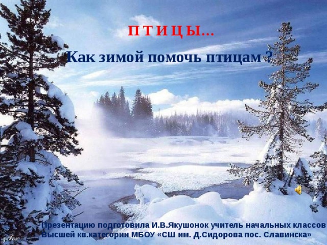 П Т И Ц Ы…   Как зимой помочь птицам ? Презентацию подготовила И.В.Якушонок учитель начальных классов Высшей кв.категории МБОУ «СШ им. Д.Сидорова пос. Славинска»