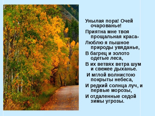 Стихотворение унылая пора очей очарование. Люблю я пышное природы увяданье в багрец и золото одетые леса. Люблю я пышное природы увяданье. Пушкин люблю я пышное природы увяданье. Стих люблю я пышное природы увяданье.