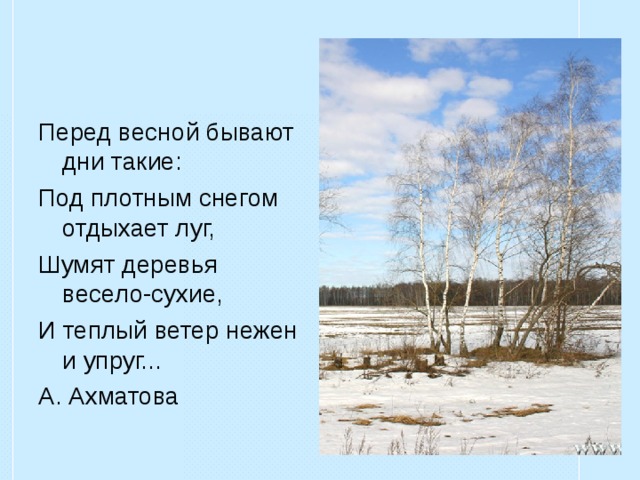 Какую картину описывает а ахматова в стихотворении перед весной бывают дни