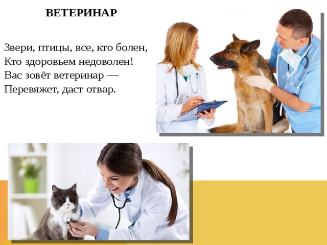 Ветеринар фото для детей