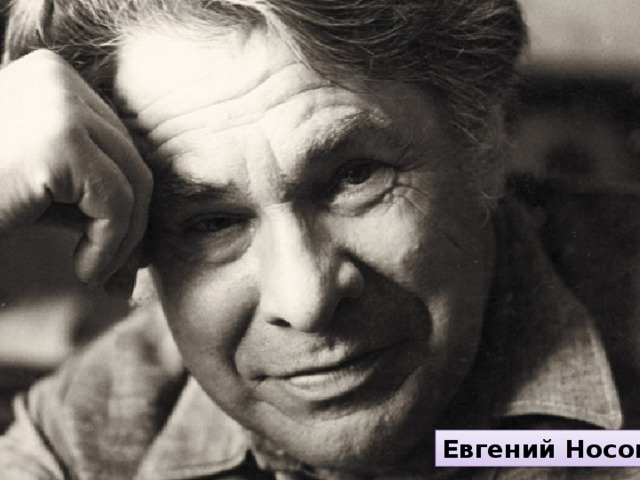 Евгений Носов 