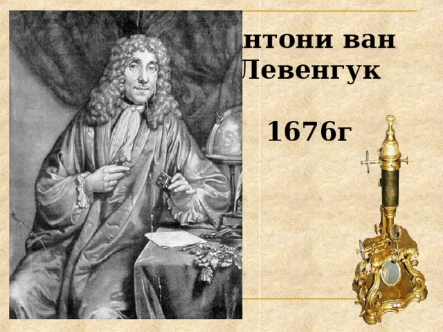 Антони ван Левенгук   1676г