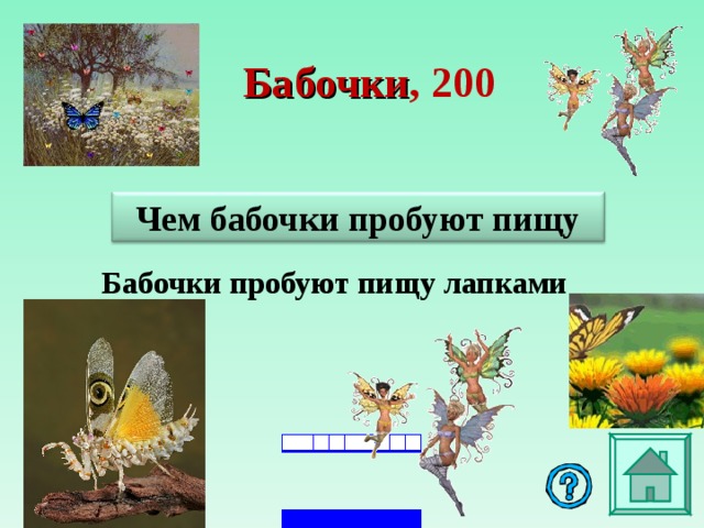 Бабочки , 2 00 Чем бабочки пробуют пищу Бабочки пробуют пищу лапками