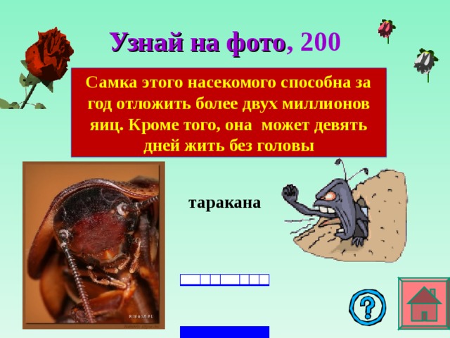 Узнай на фото , 2 00 Самка этого насекомого способна за год отложить более двух миллионов яиц. Кроме того, она может девять дней жить без головы таракана