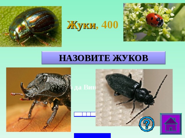 Жуки , 4 00 НАЗОВИТЕ ЖУКОВ Леонардо да Винчи, «Джоконда»