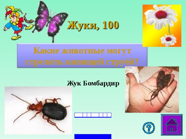 Жуки , 100 Какие животные могут стрелять кипящей струёй? Жук Бомбардир