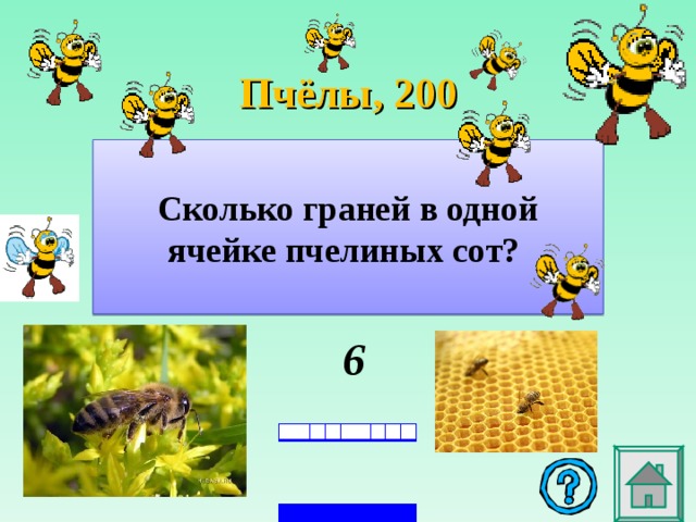 Пчёлы , 2 00   Сколько граней в одной ячейке пчелиных сот?      6