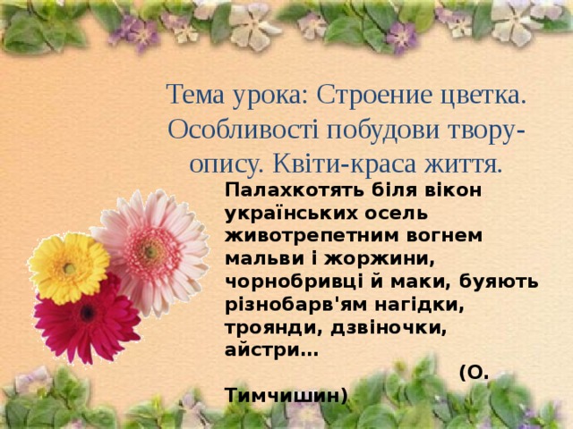  Тема урока: Строение цветка. Особливості побудови твору-опису. Квіти-краса життя. Палахкотять біля вікон українських осель животрепетним вогнем мальви і жоржини, чорнобривці й маки, буяють різнобарв'ям нагідки, троянди, дзвіночки, айстри…  (О. Тимчишин)  