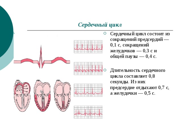 Продолжительность сердечного цикла