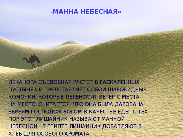 Сообщение о манне небесной. Манна Небесная. Сообщение о манной небесной. Манна Небесная происхождение. Происхождение фразеологизма Манна Небесная.