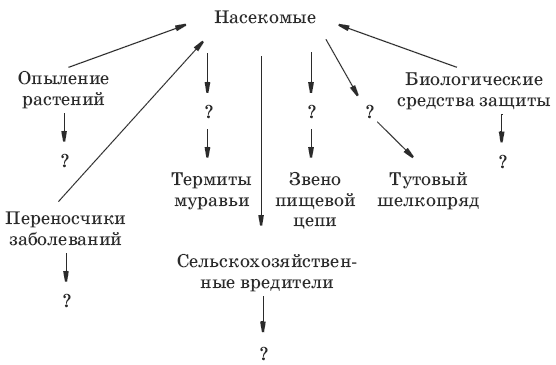 Классификация насекомых схема