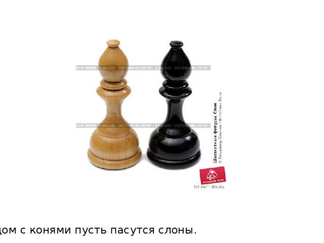 Рядом с конями пусть пасутся слоны. 