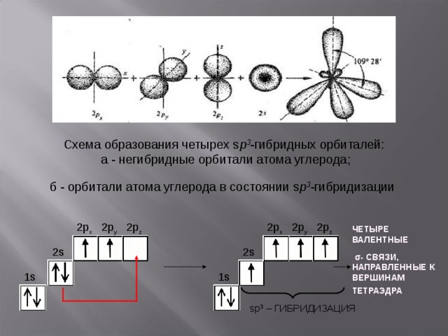 Схема образования четырех s p 3 -гибридных орбиталей:  а - негибридные орбитали атома углерода;  б - орбитали атома углерода в состоянии s p 3 -гибридизации  2p x 2p z 2p x 2p y 2p z 2p y ЧЕТЫРЕ ВАЛЕНТНЫЕ  σ - СВЯЗИ, НАПРАВЛЕННЫЕ К ВЕРШИНАМ ТЕТРАЭДРА  2 s 2 s 1s 1s s p 3 – ГИБРИДИЗАЦИЯ 