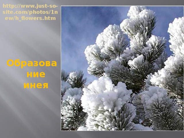 http://www.just-so-site.com/photos/1new/h_flowers.htm   Образование инея 