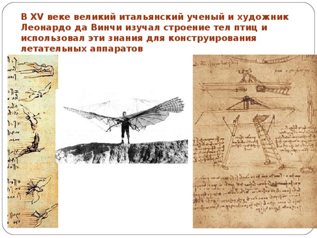 В XV веке великий итальянский ученый и художник Леонардо да Винчи изучал строение тел птиц и использовал эти знания для конструирования летательных аппаратов 