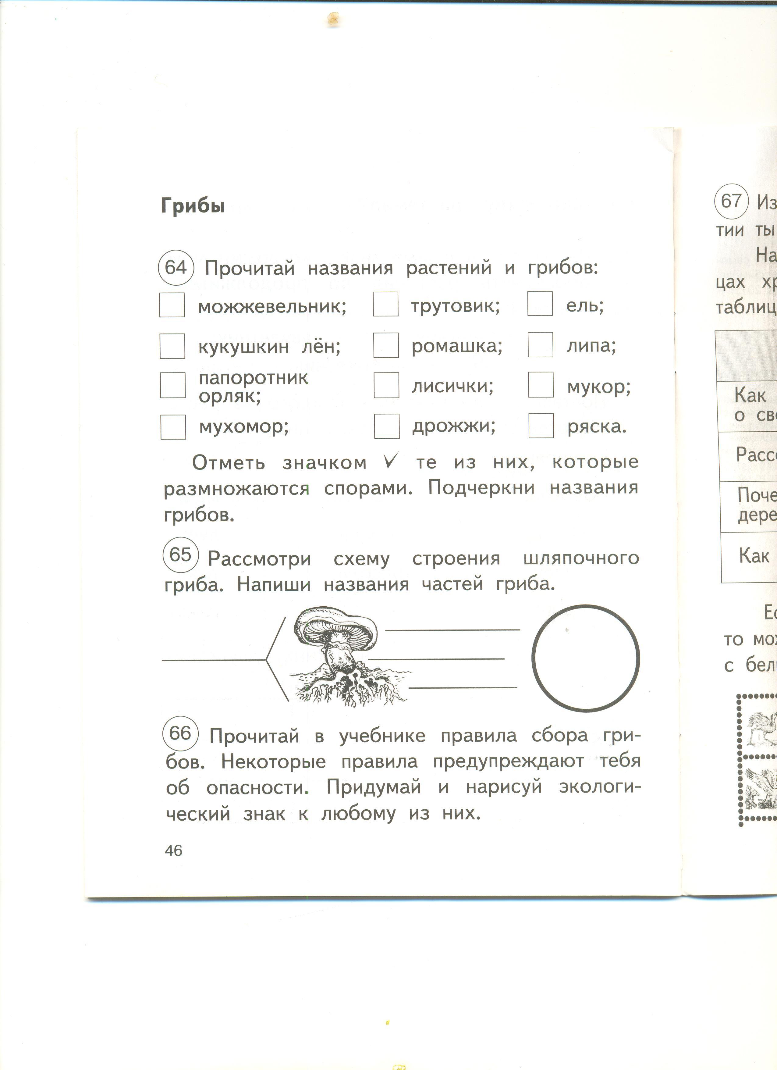 Урок по окружающему миру на тему 