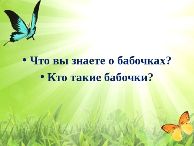 Что вы знаете о бабочках? Кто такие бабочки? 