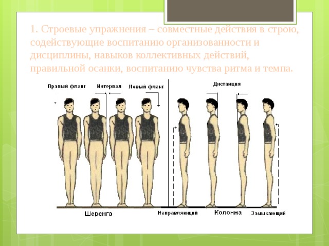 Методика строевых упражнений. Строевые упражнения. Строевые упражнения на месте. Команды строевых упражнений. Гимнастические строевые упражнения.